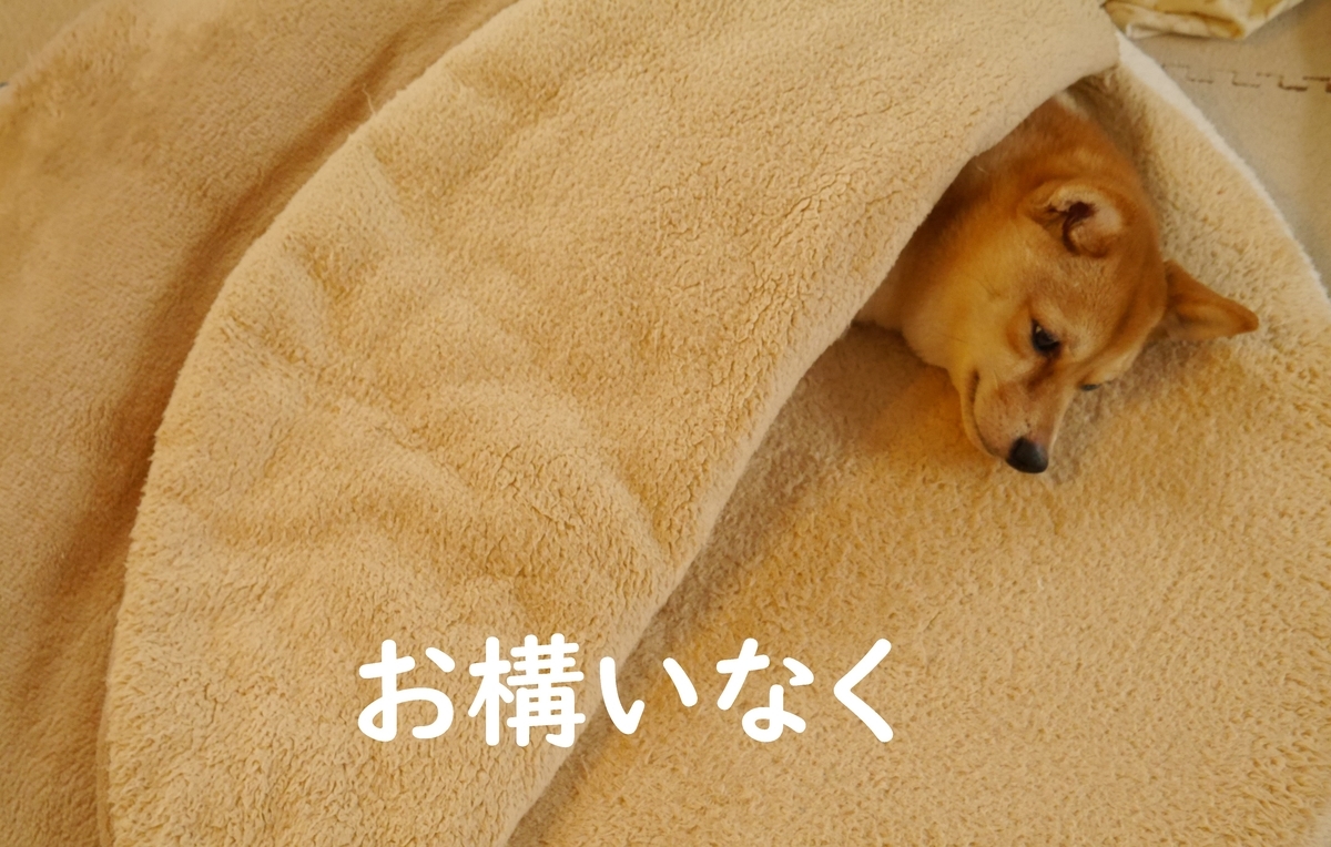 f:id:hanatara:20200504112328j:plain