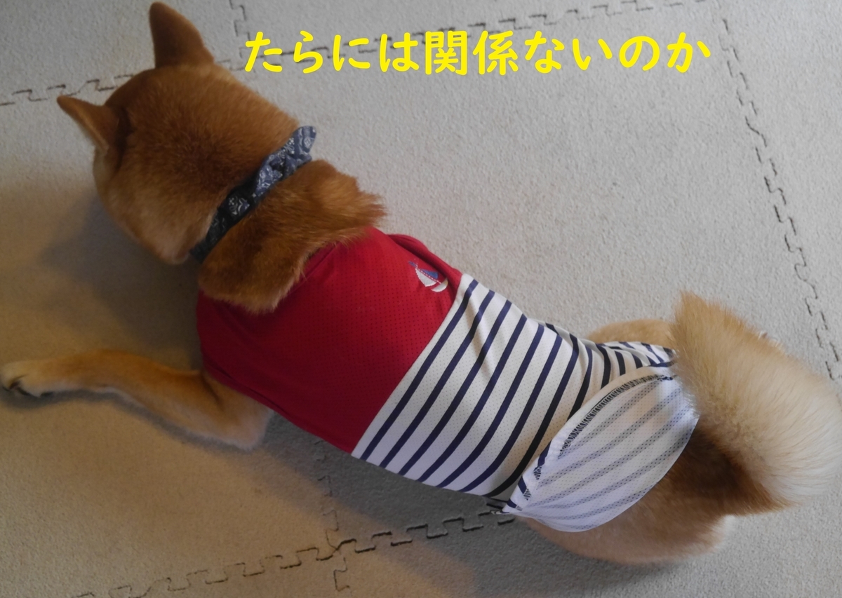 f:id:hanatara:20200514123657j:plain f:id:hanatara:20200514123657j:plain