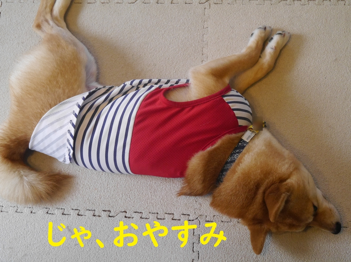 f:id:hanatara:20200514123813j:plain f:id:hanatara:20200514123813j:plain
