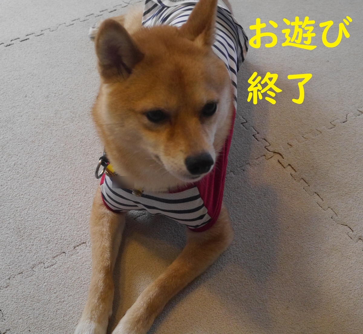 f:id:hanatara:20200514141731j:plain