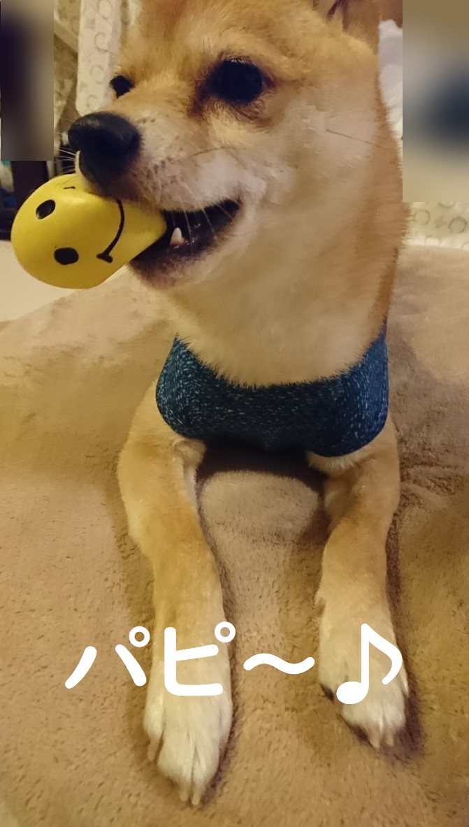 f:id:hanatara:20200529091426j:plain