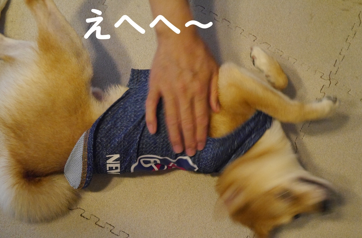 f:id:hanatara:20200529100917j:plain