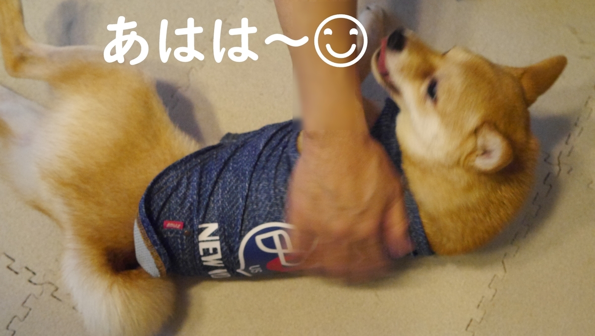 f:id:hanatara:20200529101010j:plain
