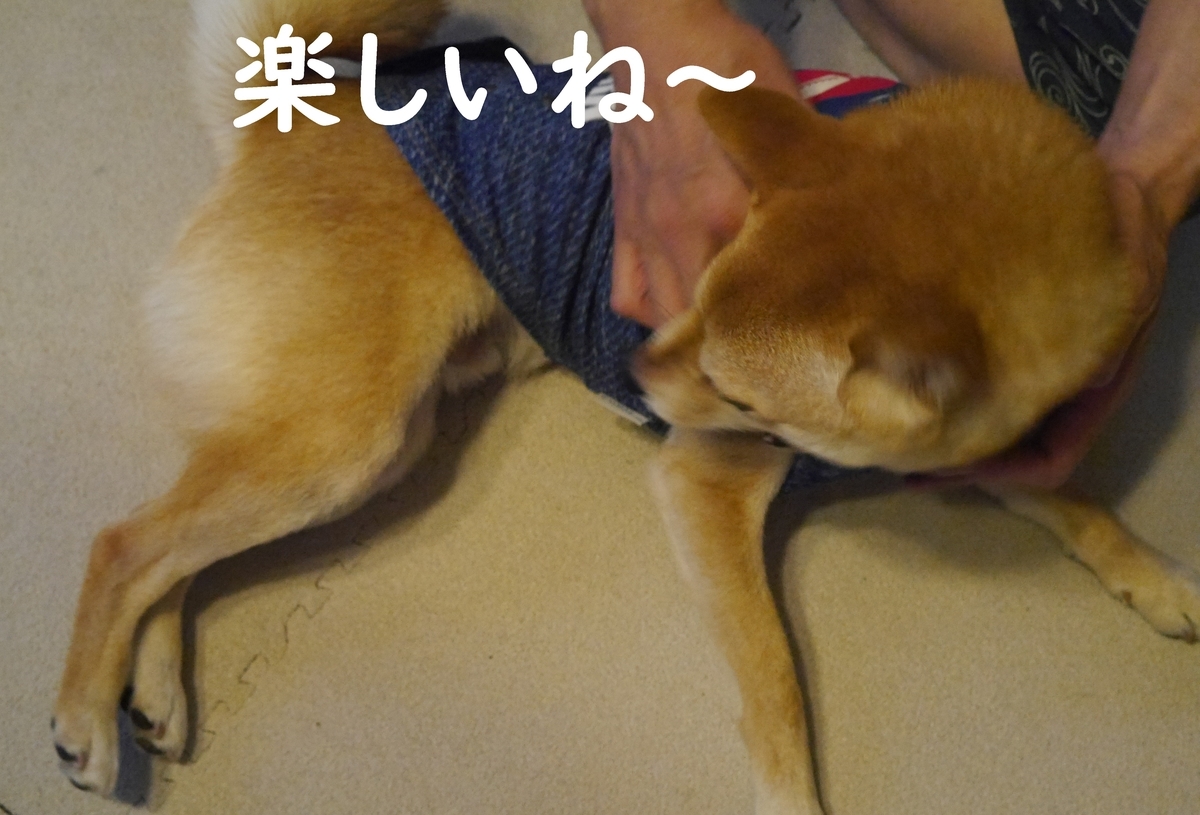 f:id:hanatara:20200529101113j:plain