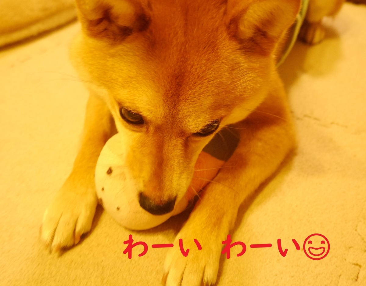 f:id:hanatara:20200605082527j:plain