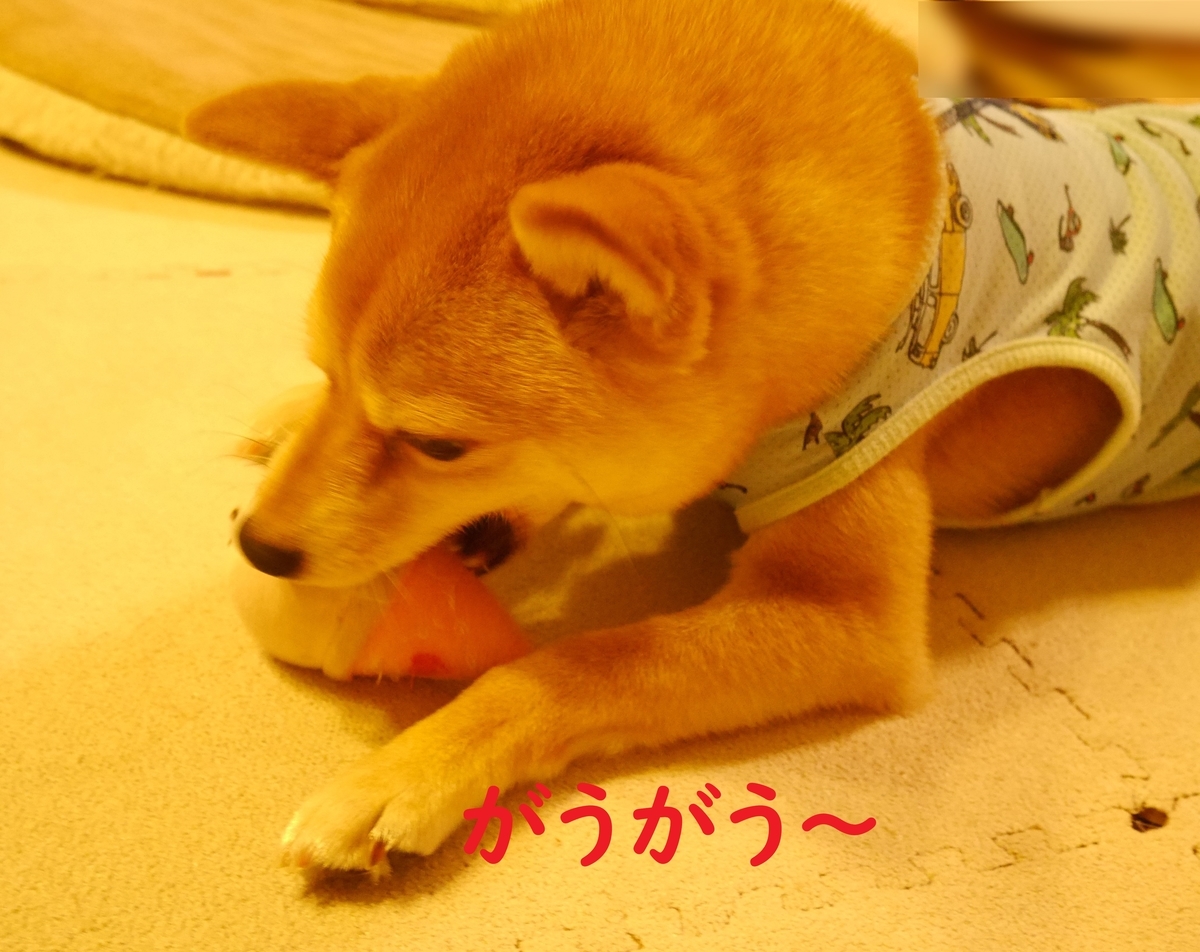 f:id:hanatara:20200605082729j:plain