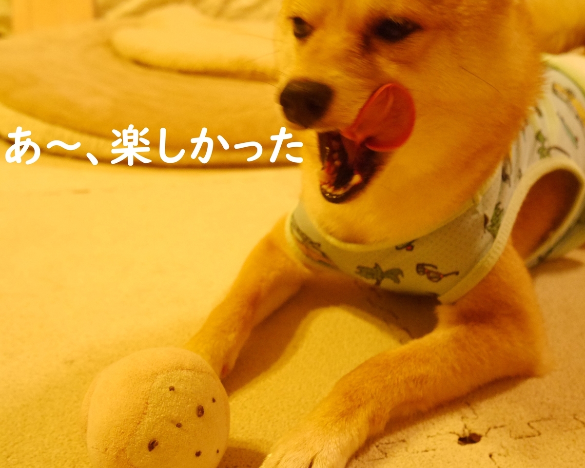 f:id:hanatara:20200605082838j:plain