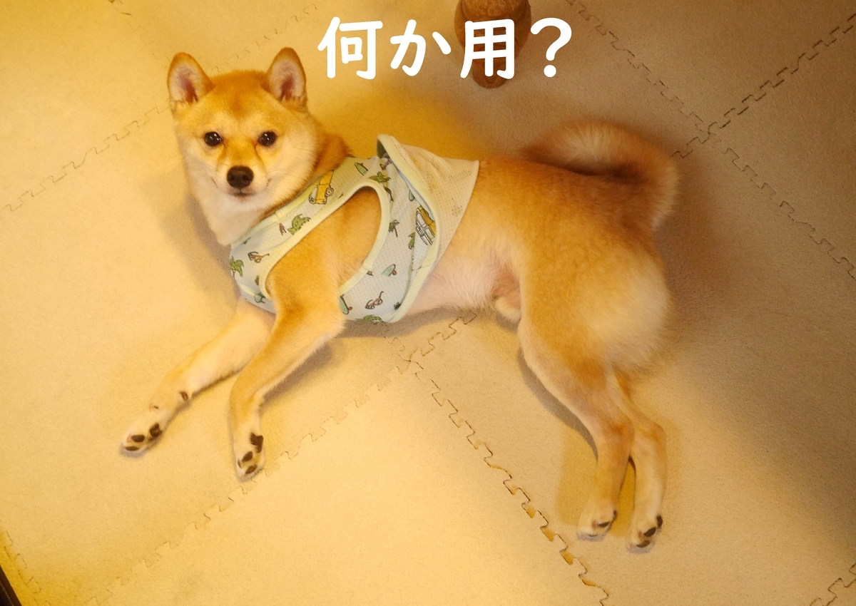 f:id:hanatara:20200605091434j:plain