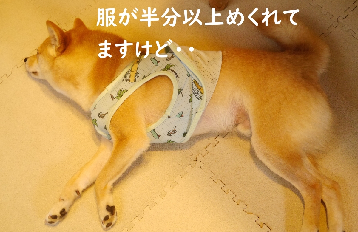 f:id:hanatara:20200605091540j:plain