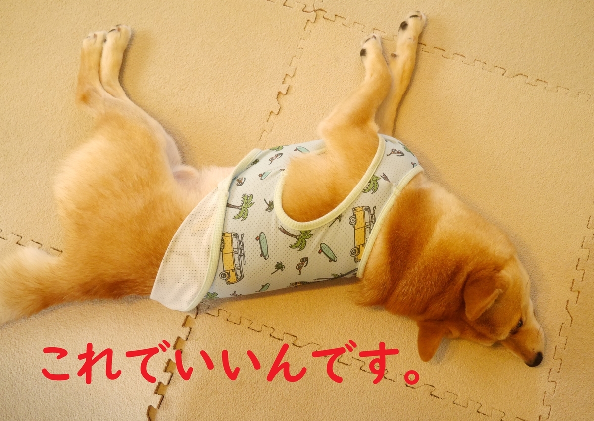 f:id:hanatara:20200605091632j:plain