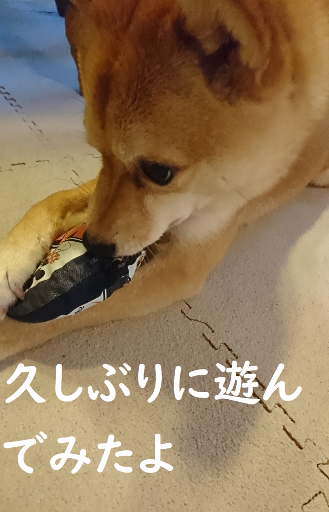 f:id:hanatara:20200607104716j:plain