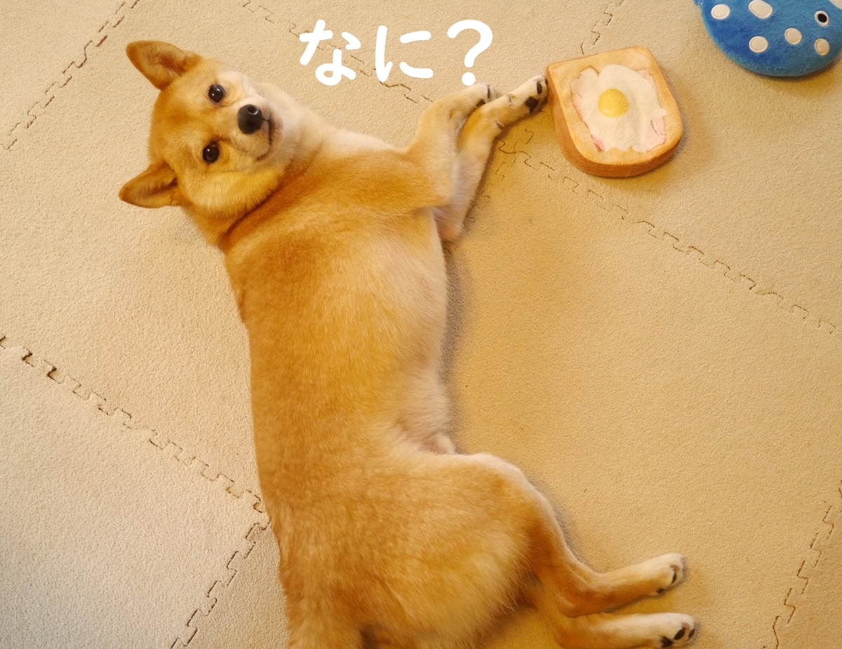 f:id:hanatara:20200607113148j:plain