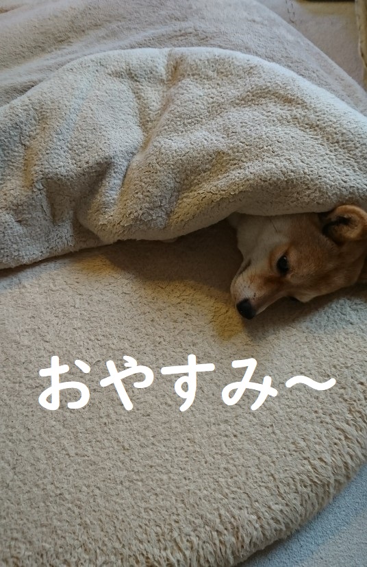 f:id:hanatara:20200609100237j:plain