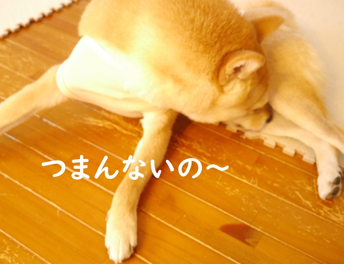 f:id:hanatara:20200623133040j:plain