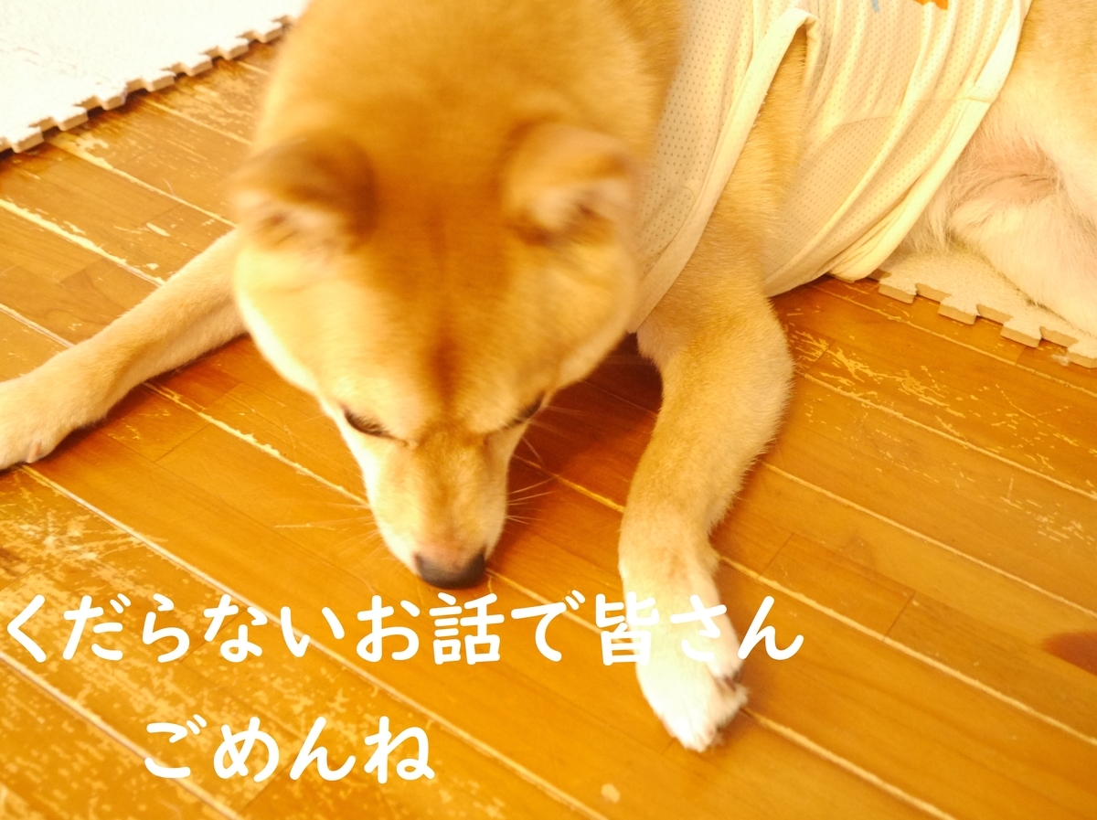 f:id:hanatara:20200623133207j:plain