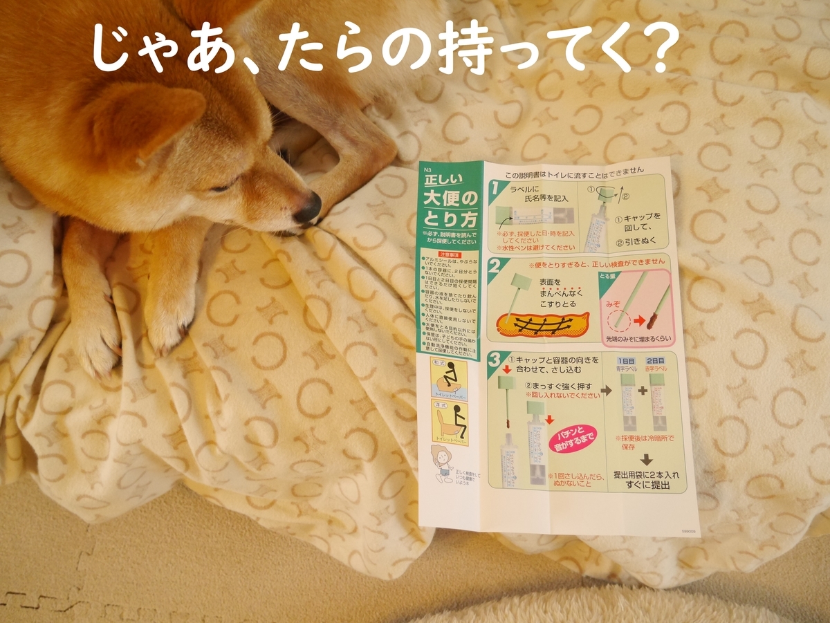 f:id:hanatara:20200630093835j:plain