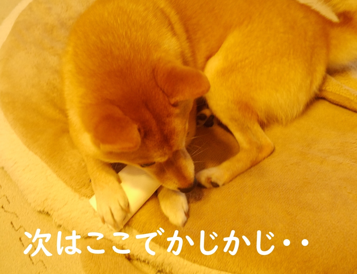 f:id:hanatara:20200630113156j:plain