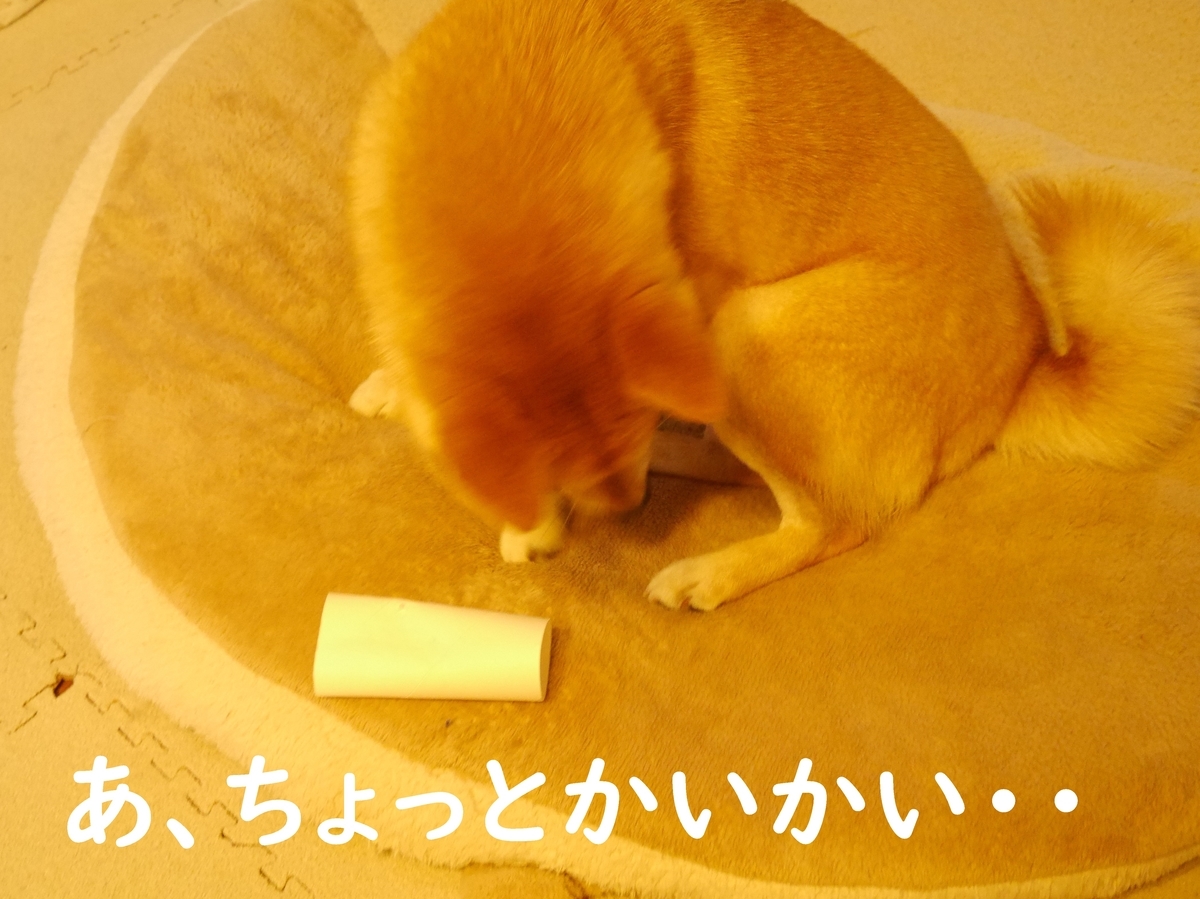 f:id:hanatara:20200630113431j:plain