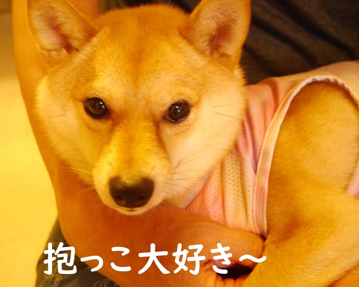 f:id:hanatara:20200630120649j:plain
