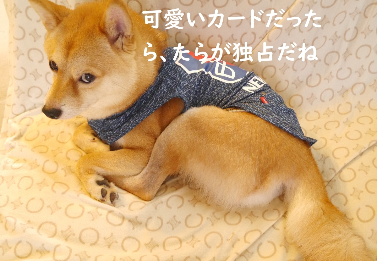 f:id:hanatara:20200709133254j:plain