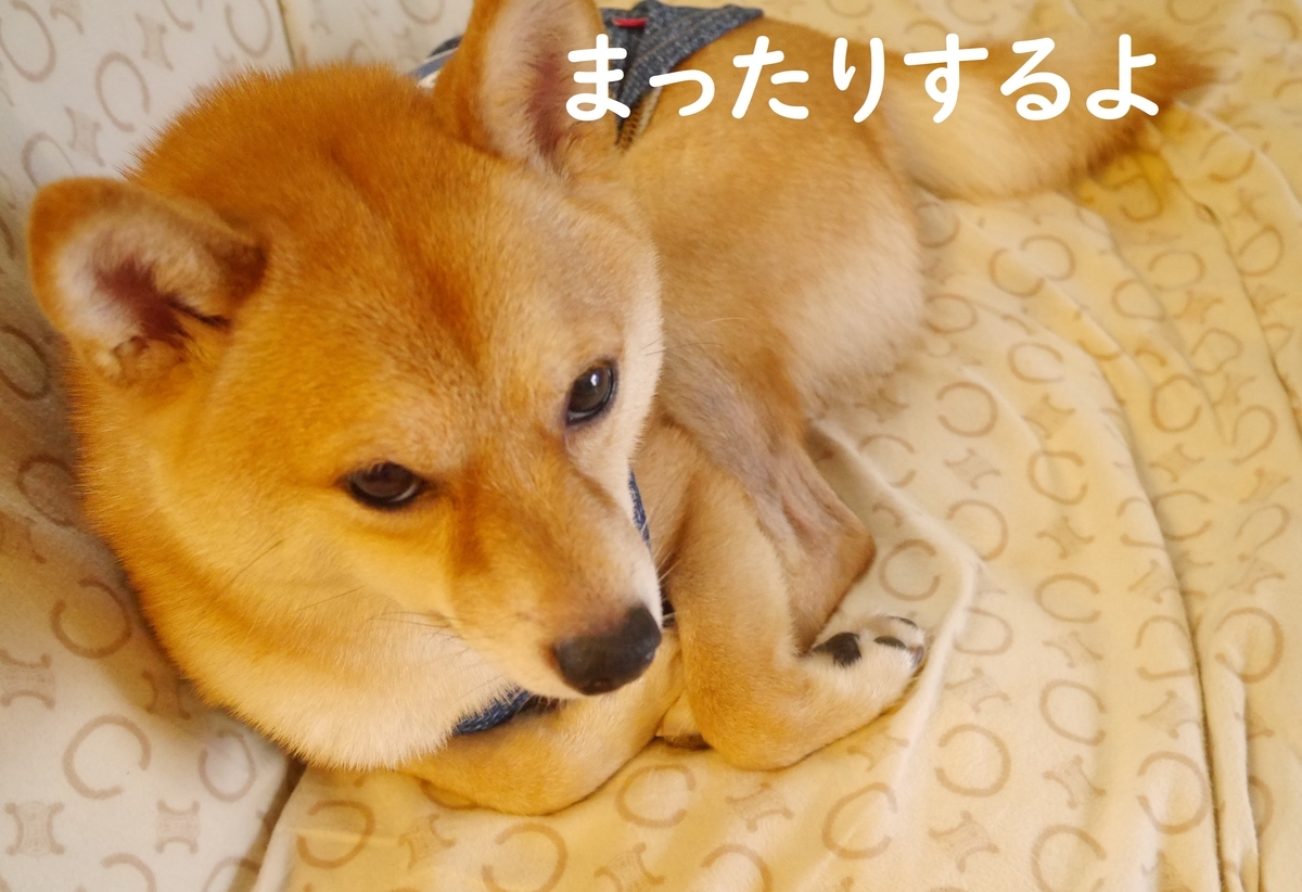 f:id:hanatara:20200709133409j:plain