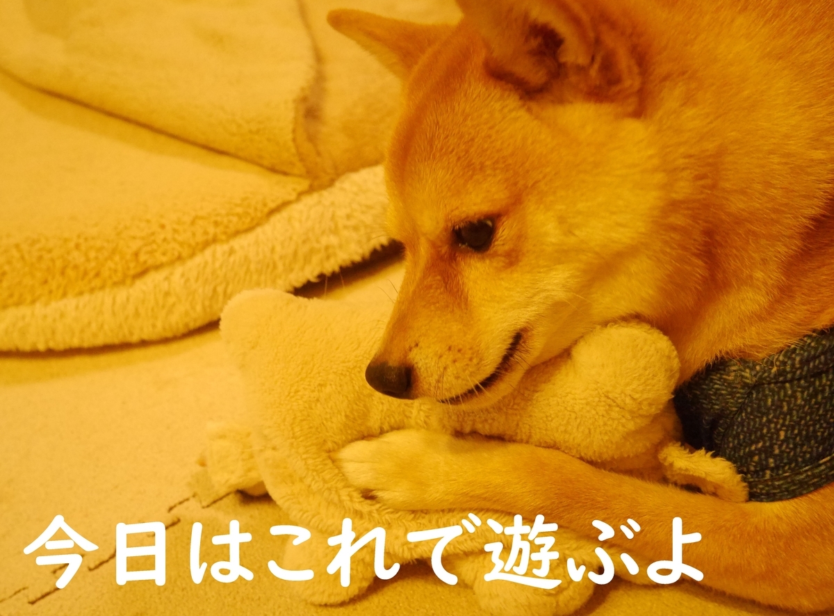 f:id:hanatara:20200711093808j:plain f:id:hanatara:20200711093808j:plain