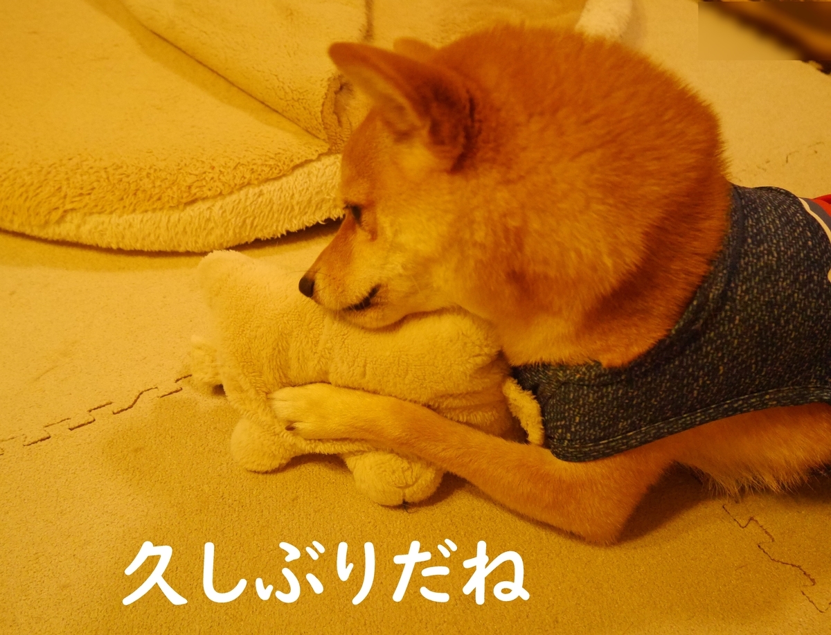 f:id:hanatara:20200711094759j:plain f:id:hanatara:20200711094759j:plain