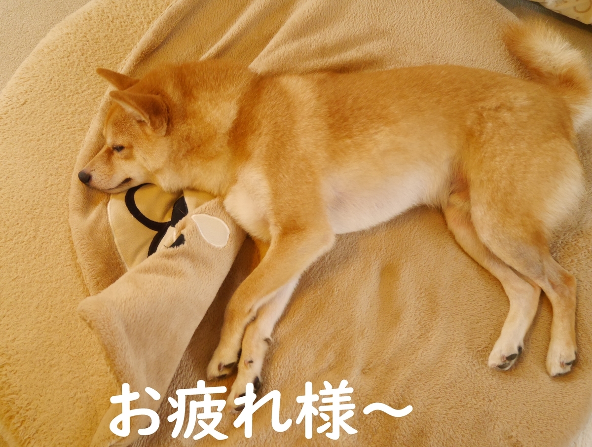 f:id:hanatara:20200712095435j:plain
