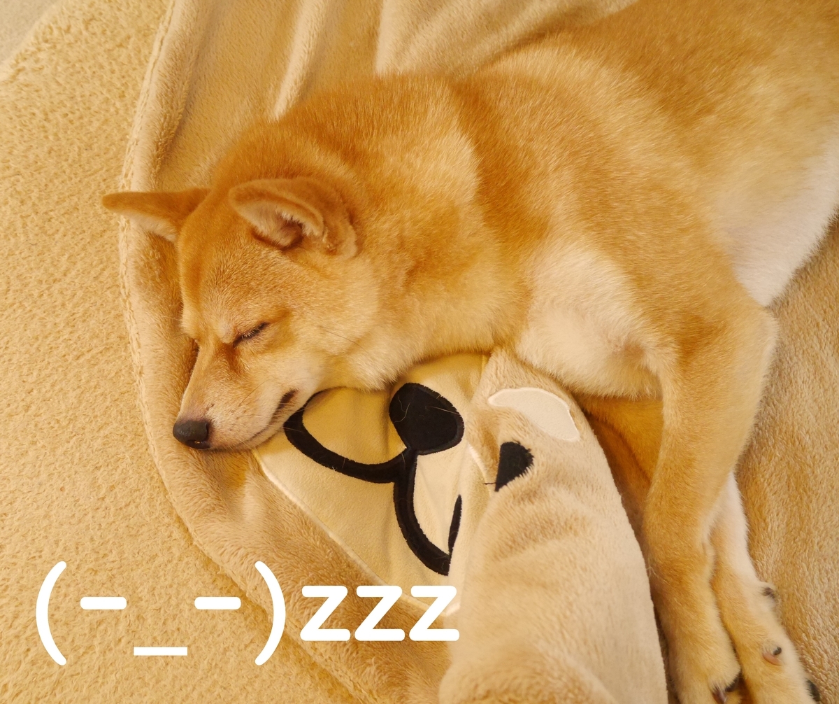 f:id:hanatara:20200712095516j:plain