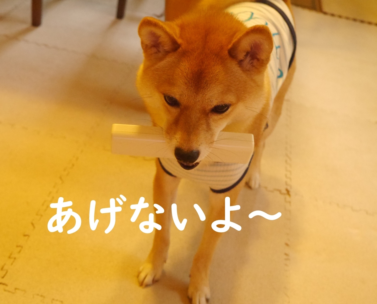 f:id:hanatara:20200718111409j:plain