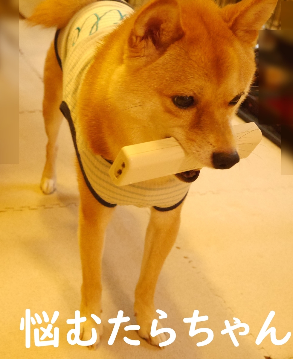 f:id:hanatara:20200718111814j:plain