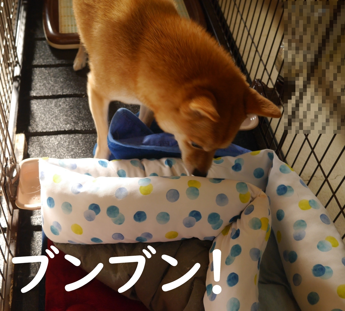 f:id:hanatara:20200801083306j:plain