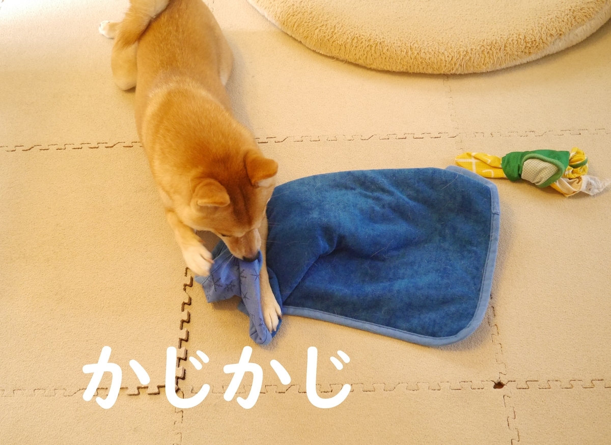 f:id:hanatara:20200801093930j:plain f:id:hanatara:20200801093930j:plain