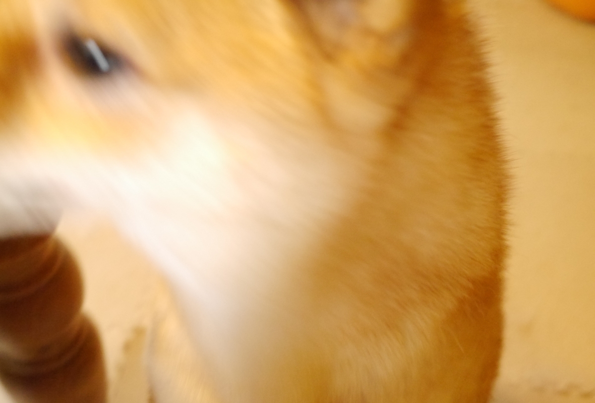 f:id:hanatara:20200801103912j:plain