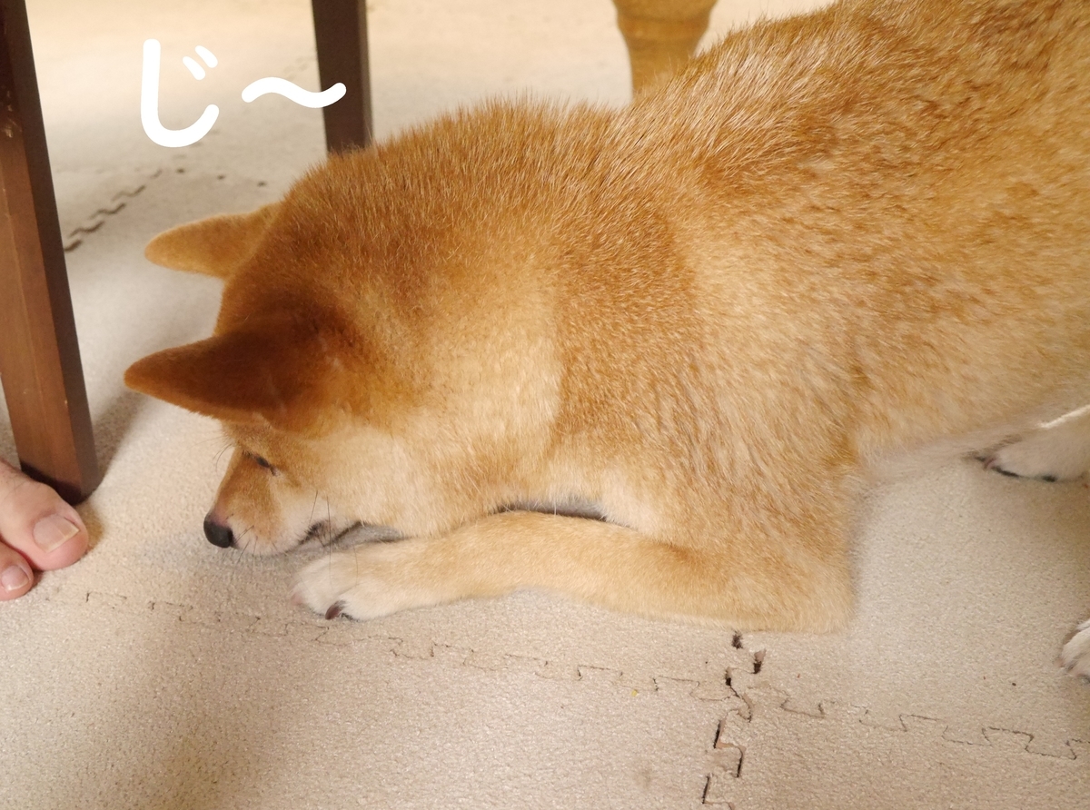f:id:hanatara:20200801104843j:plain