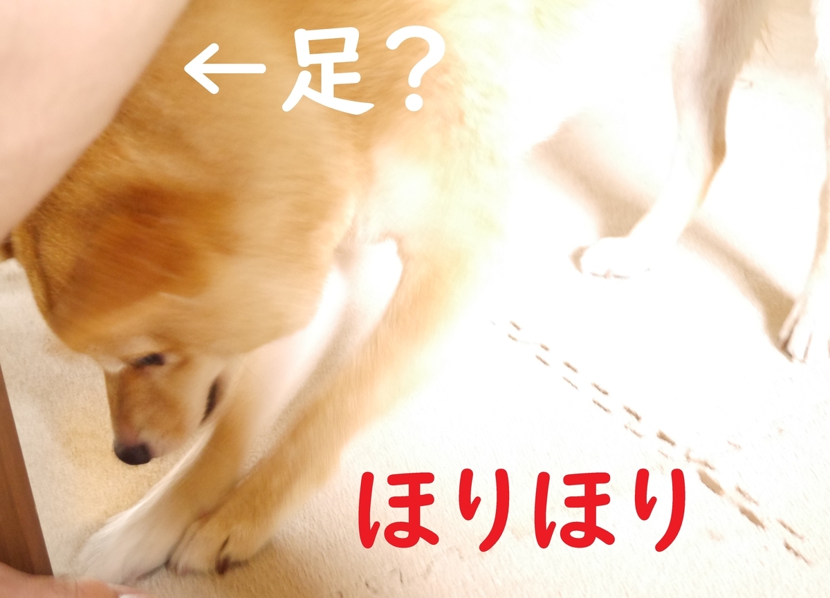 f:id:hanatara:20200801105357j:plain