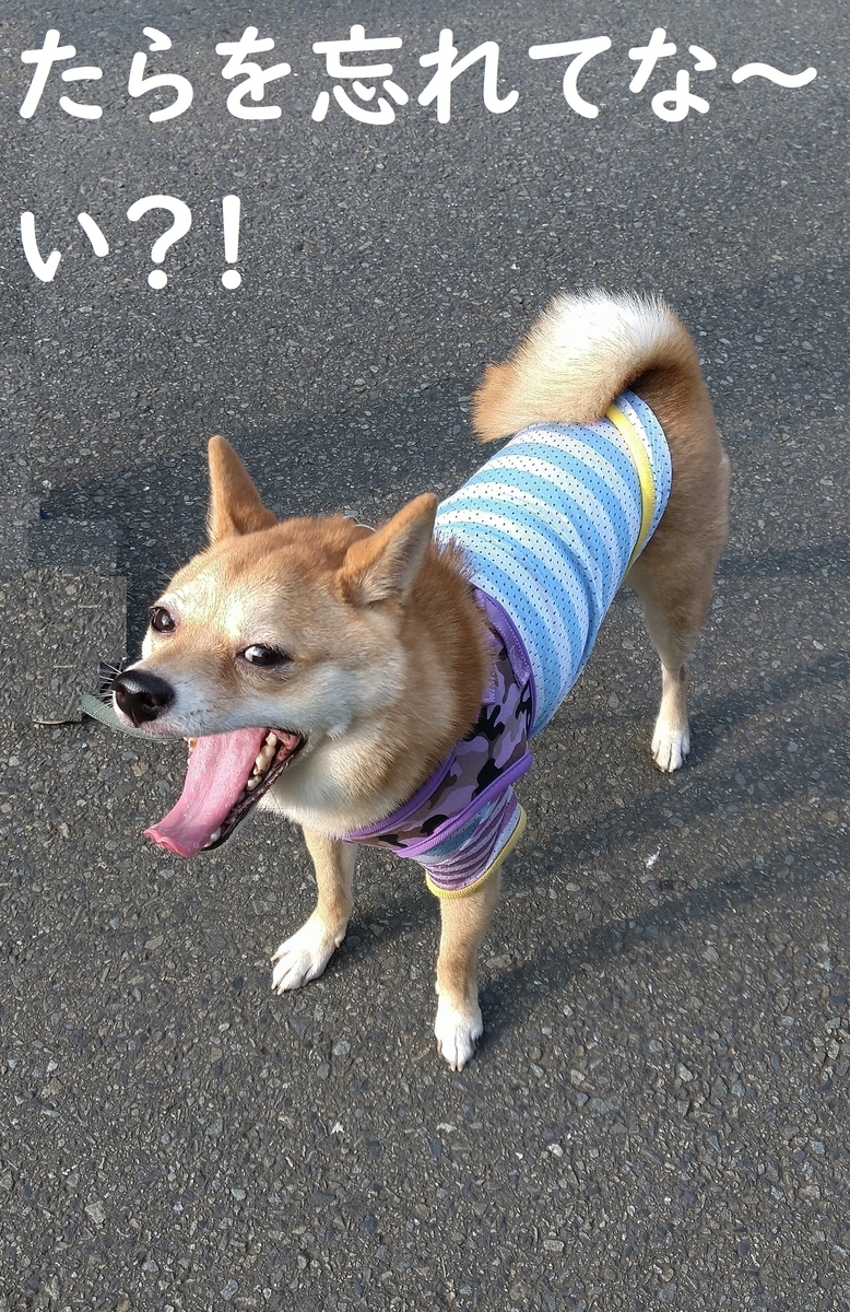 f:id:hanatara:20200810085559j:plain