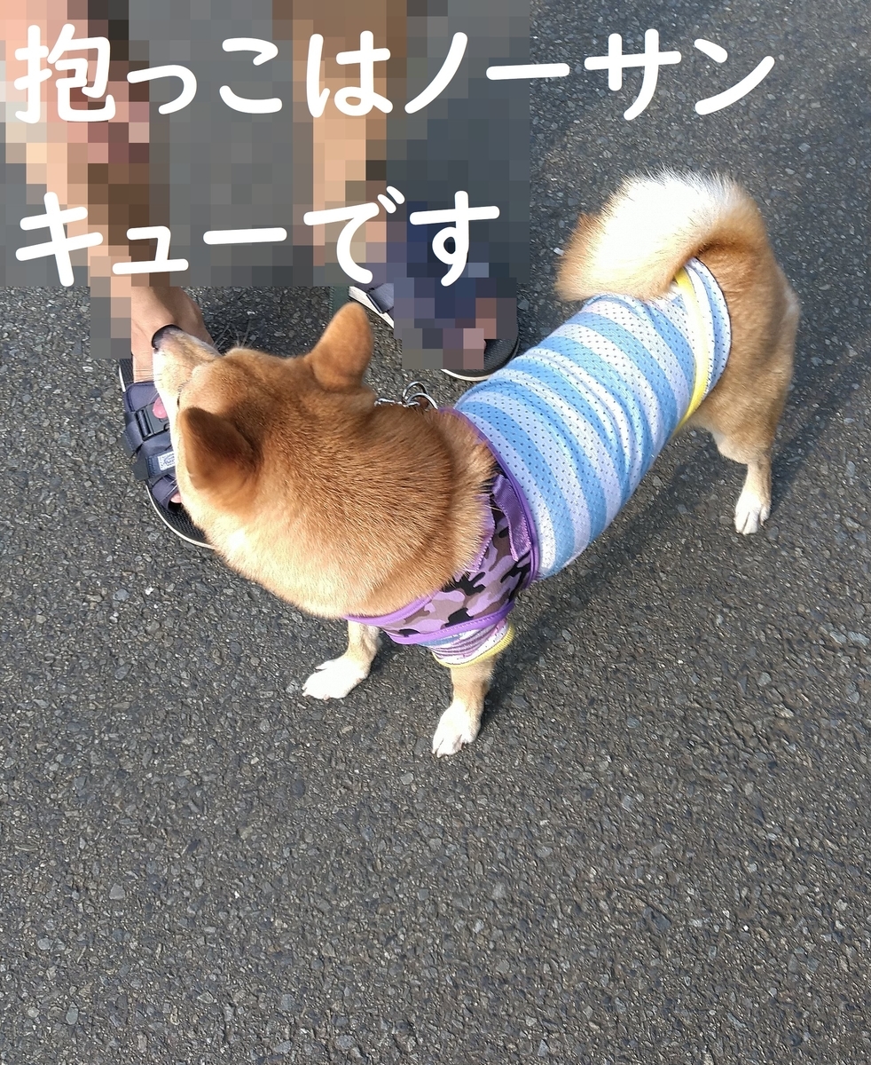 f:id:hanatara:20200810102936j:plain