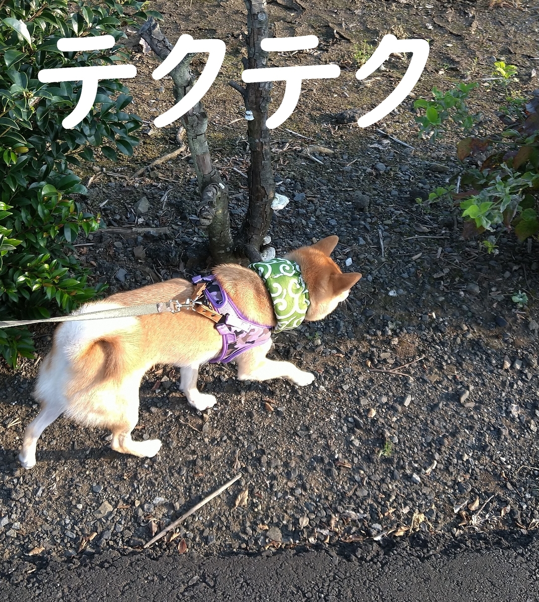 f:id:hanatara:20200816113809j:plain
