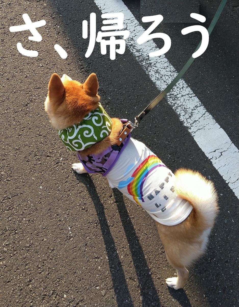 f:id:hanatara:20200816114229j:plain