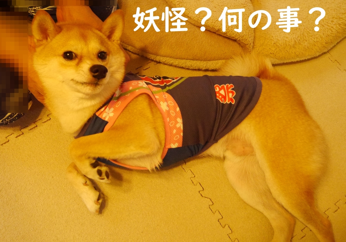 f:id:hanatara:20200830095009j:plain