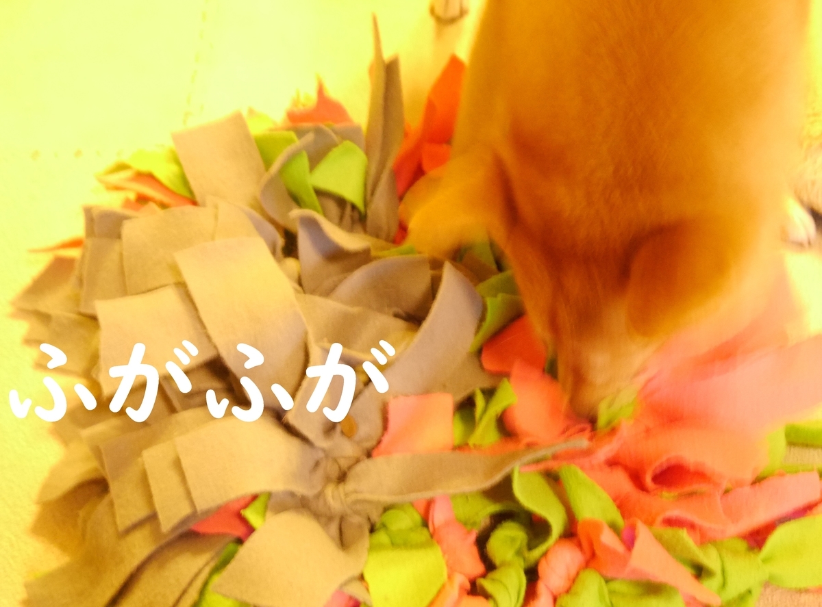 f:id:hanatara:20200904082912j:plain f:id:hanatara:20200904082912j:plain