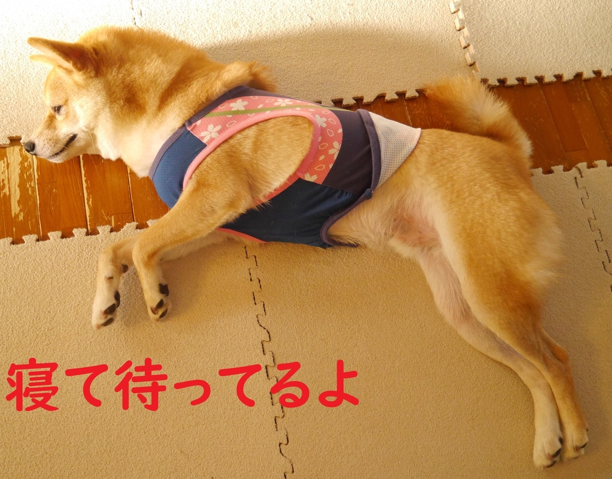 f:id:hanatara:20200905095023j:plain