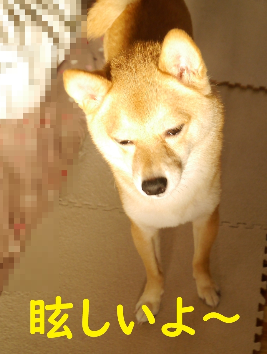 f:id:hanatara:20200905105437j:plain f:id:hanatara:20200905105437j:plain