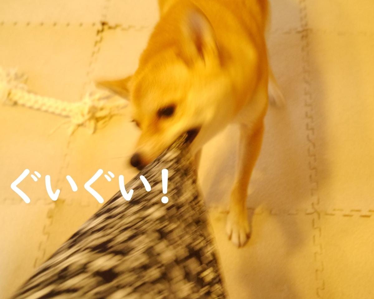 f:id:hanatara:20200906112409j:plain