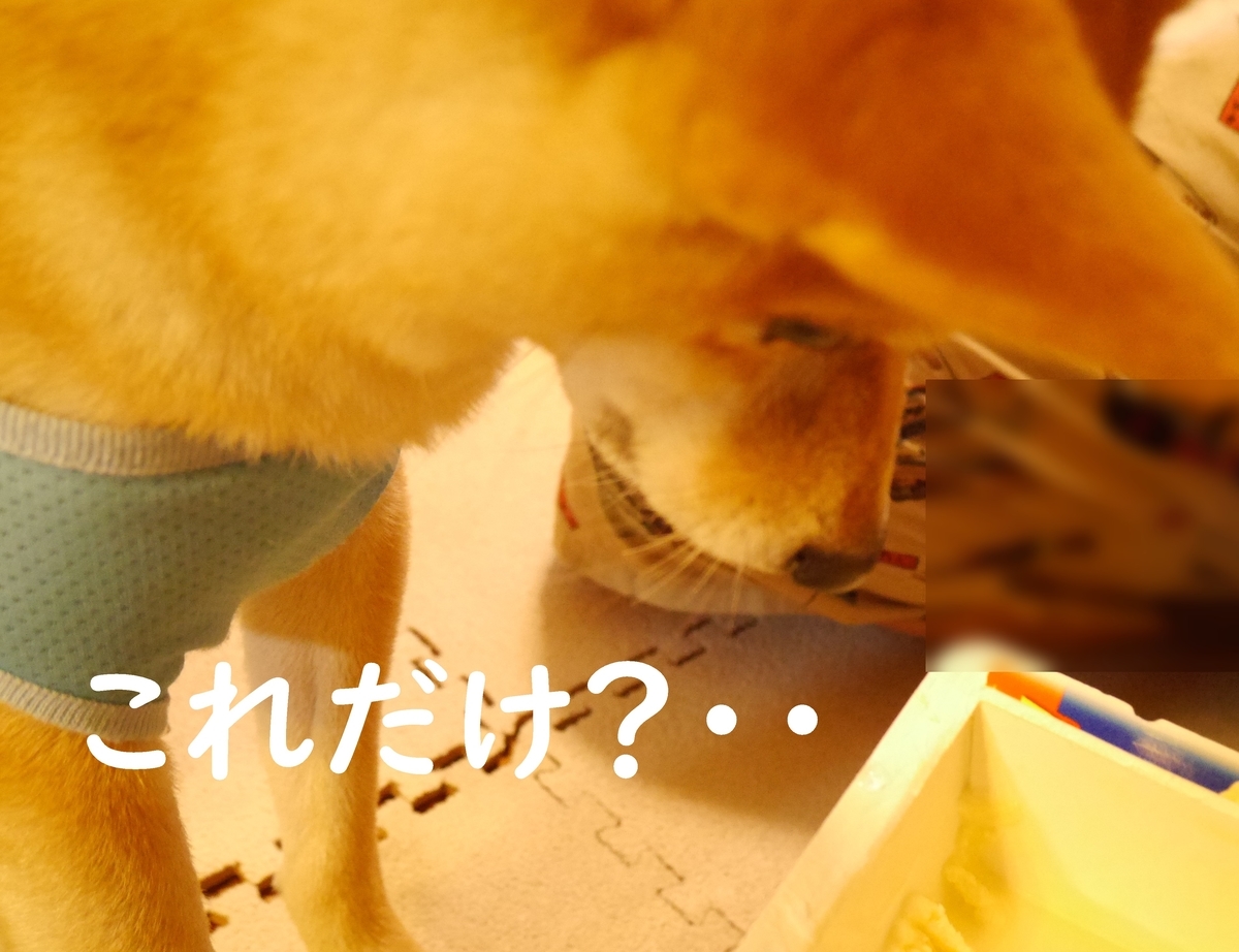f:id:hanatara:20200909084821j:plain f:id:hanatara:20200909084821j:plain