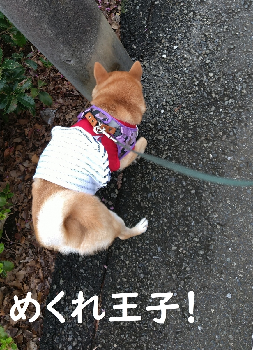 f:id:hanatara:20200912091632j:plain