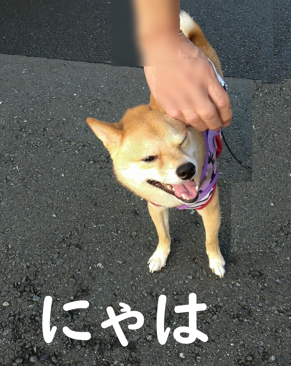 f:id:hanatara:20200913090741j:plain