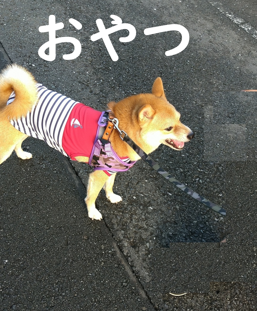 f:id:hanatara:20200913090938j:plain