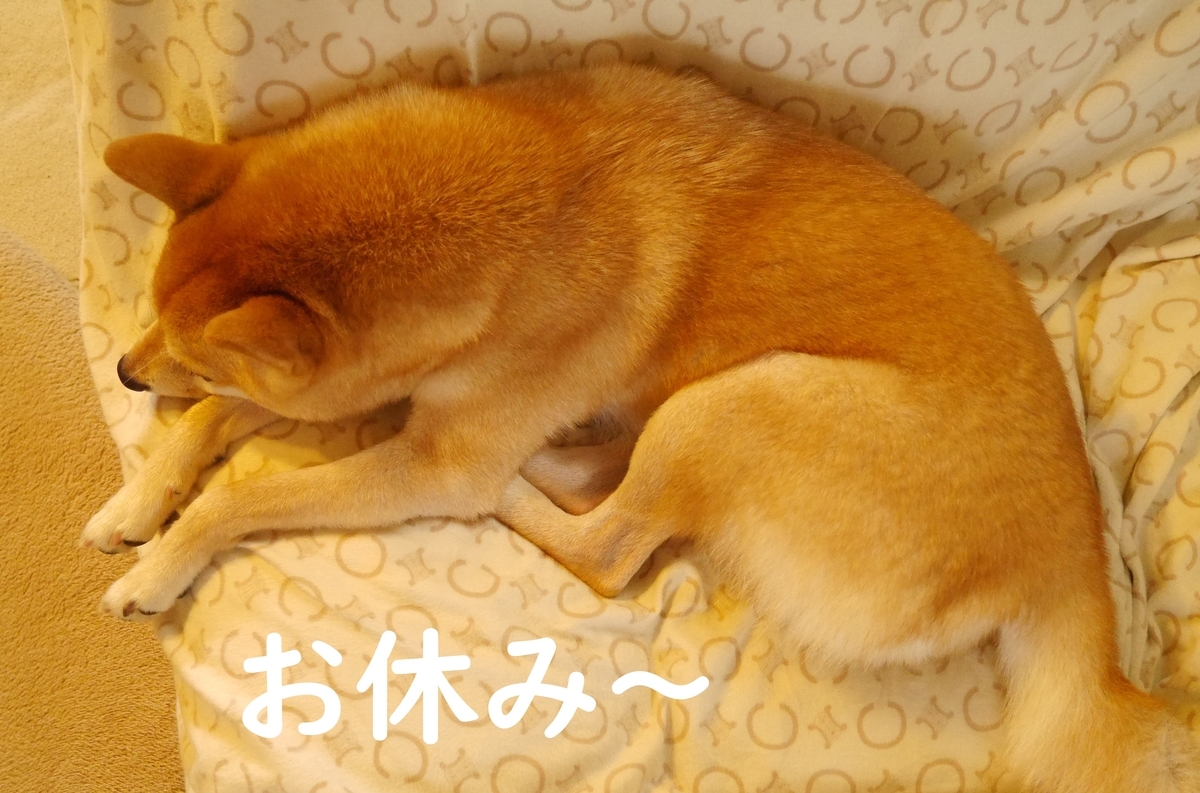 f:id:hanatara:20200916103133j:plain